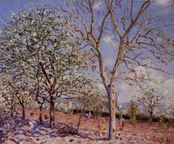 阿爾弗萊德 西斯萊 Plum and Walnut Trees in Spring